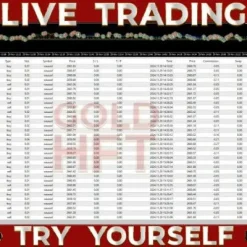 Alternative view of HFT Fast M1 Gold Scalper V6 EA MT4 V6.2 Unlimited