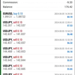 Alternative view of Forex flare RoBoT MT4 Unlimited with SetFiles