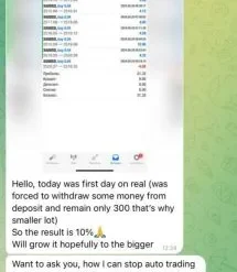 Alternative view of Flip bot MT5 Unlimited with SetFiles