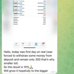 Alternative view of Flip bot MT4 Unlimited with SetFiles