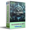 BLACKBIRD EA MT4