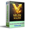 VELOX SCALPER MT5