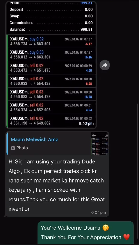 Dude Alpha Gold EA MT5 V1.4.2 Unlimited - Image 6